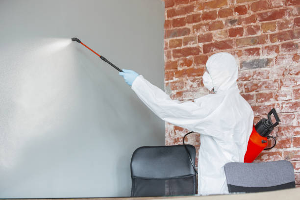 Kinston, NC Mold Removal Company